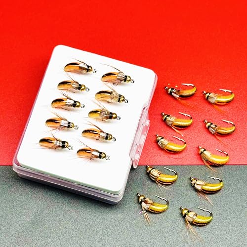 10Pc Wet Flies Bait Fly Fishing Flies for Bass Trout Pike Salmon Brass Head Caddis Nymph Handmade Fishing Bait Artificial Insect Fishing Lure (Orange)