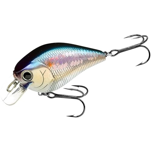 Fat CB BDS2 Fishing Lure