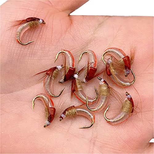 24Pcs Fly Fishing Flies Trout Lures Fishing Tackle Fly Fishing Flies with Boxed Trout Bass Artificial Fish Bait (24Pcs-Scud Nymph Red)
