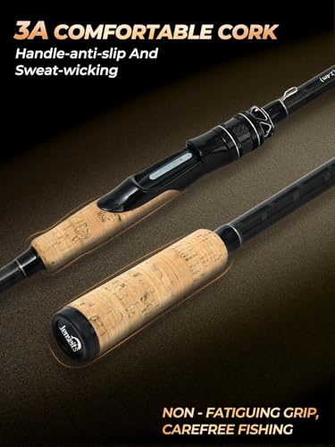 8Ft Spinning Fishing Rod (8'0"-Medium Heavy-Fast-Black)