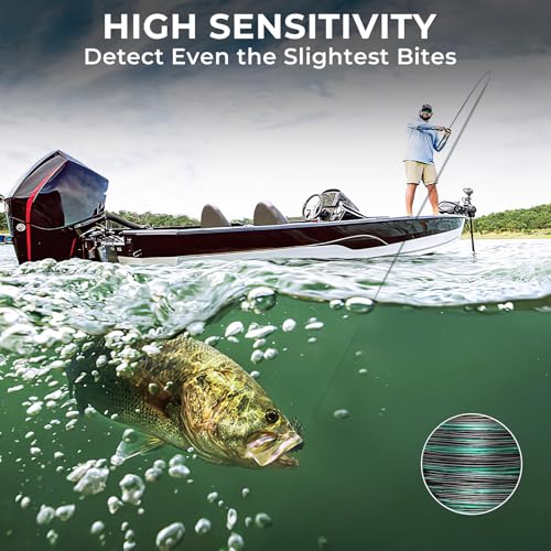 Destron Essential Mono Fishing Line (Midnight Camo / 12LB(300 Yds))