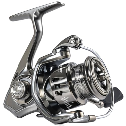 Spinning Reel