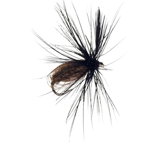 24Pcs Fly Fishing Flies Trout Lures Fishing Tackle Fly Fishing Flies with Boxed Trout Bass Artificial Fish Bait