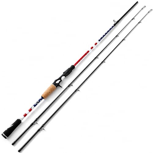 6FT Carbon Fiber Fishing Rod (Casting- 6'0")