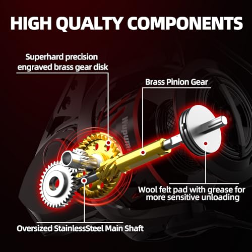 CFSW Spinning Reel 7+1 Shielded Stainless Steel BB