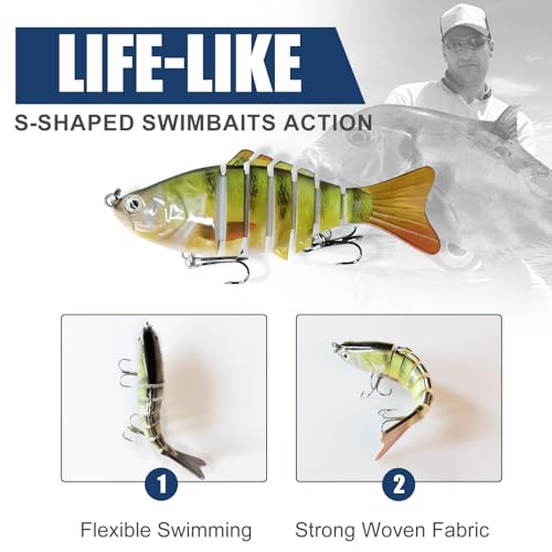 6PCS Fishing Lures for Freshwater and Saltwater with case (B)