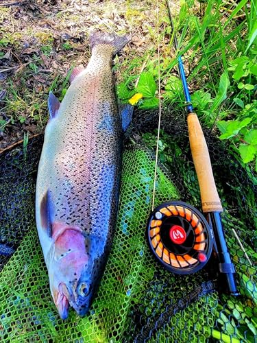 Maxcatch Extreme