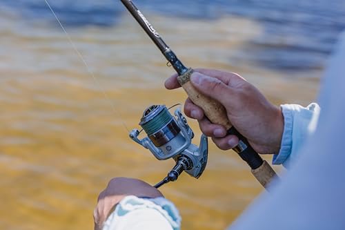 Trion Spinning Reel (2022 Model / 40 - Clam)