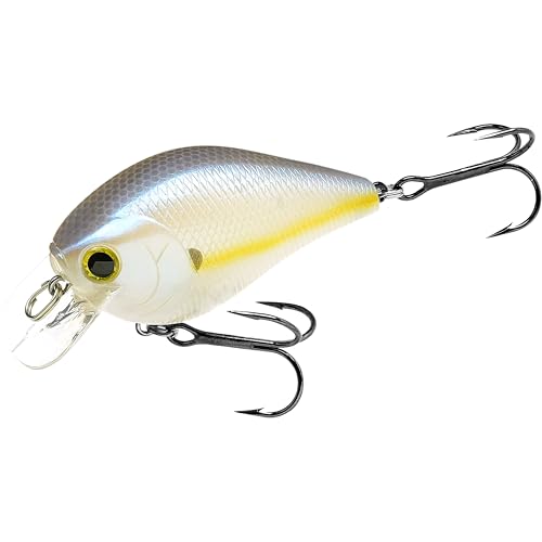 Fat CB BDS2 Fishing Lure