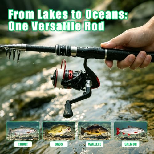 Fishing Rod and Reel Combo