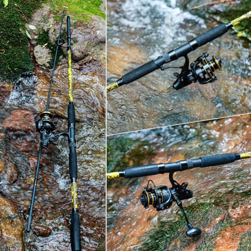 Spinning Rod Combo