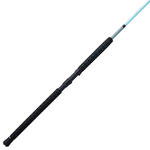 Carbon Jigging Spinning Fishing Rod