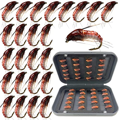24Pcs Fly Fishing Flies Trout Lures Fishing Tackle Fly Fishing Flies with Boxed Trout Bass Artificial Fish Bait (24Pcs-Scud Nymph Red)