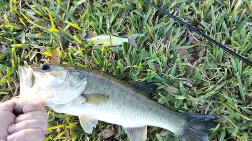 SG130 Jointed Glide Bait 1oz for Bass Pike Fishing