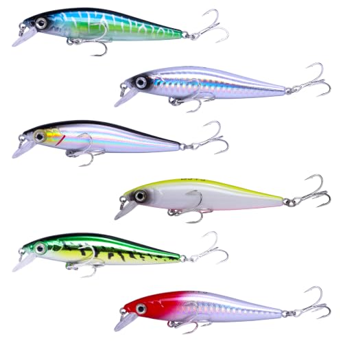 Floating Minnow Fishing Lure