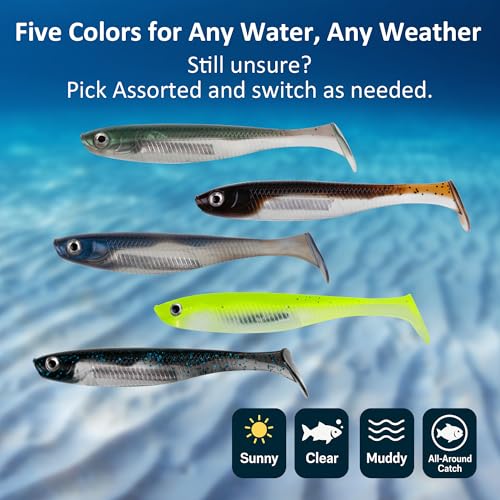 Paddle Tail Swimbait Fishing Lures for Bass Fishing (Assorted)