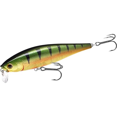 Pointer 100SSR