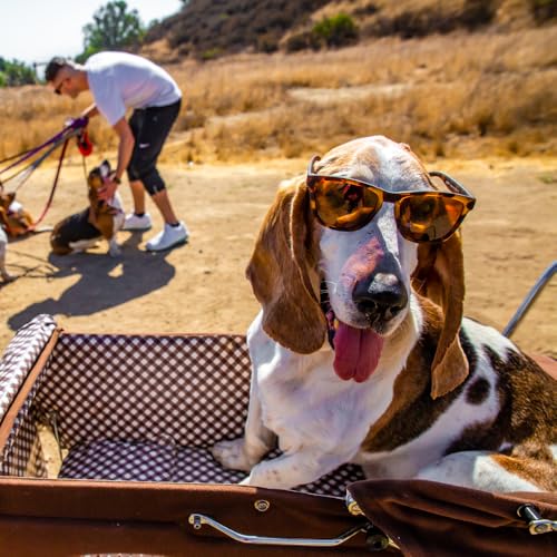Bosley's Basset Hound Dreams Polarized Sunglasses