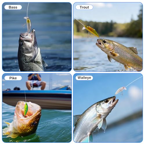 Premium Fishing Crankbait Set (12.5g)