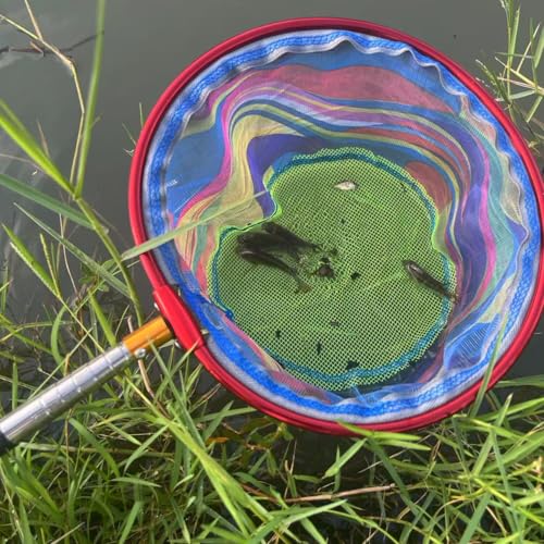 Fishing Nets 2 Pack Retractable Lightweight Landing Nets Stainless Steel Fishing Rod Handles Fishing Nets for Catching and Releasing Fish and Shrimp Frog Nets (Black+red)