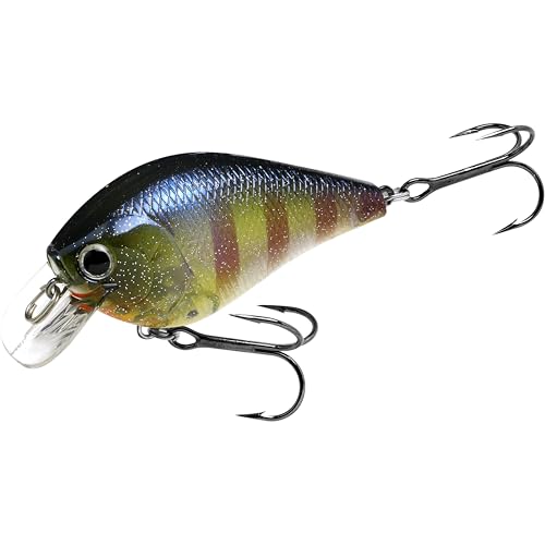 Fat CB BDS2 Fishing Lure (275 CF Flake Flake BE Gill)