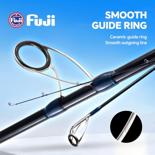 Surf Fishing Rod Carbon Surf Spinning Fishing Rod with Fuji Guide (9'6'' - 2pc)