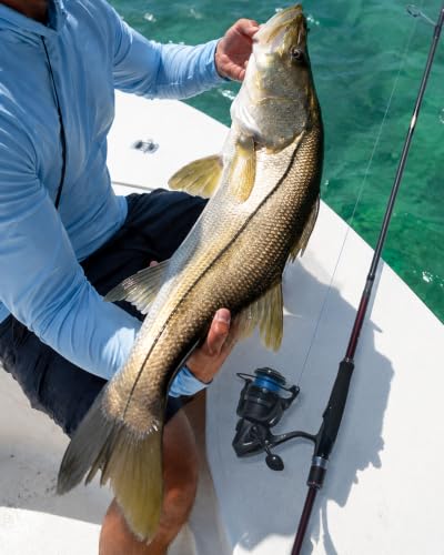 Aetheron Seabass Multi