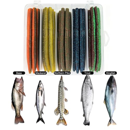 40PCS 5.5" Senko Worms for Bass Fishing Kit