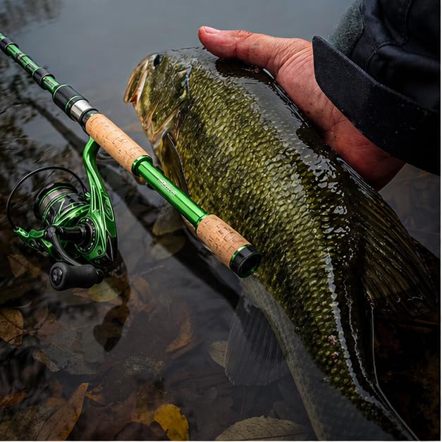 Telescopic Fishing Combo
