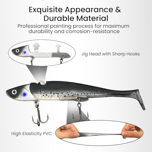 Pre Rigged Fishing Plugs for Saltwater Freshwater Bass Walleye (Jig Head Soft Lure Dark Set)