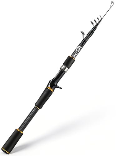 Fishing Rod Telescopic & 4 PCS Portable Fishing Pole