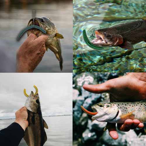 5 Colors 40 Pack Senko Worms for Bass Fishing