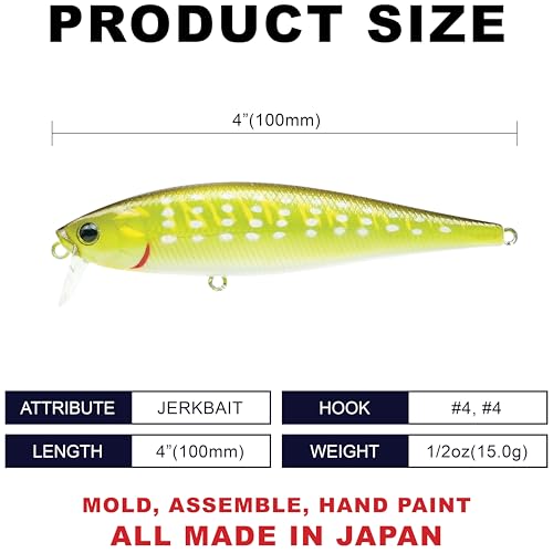 Pointer 100SSR (802 Northern Pike)
