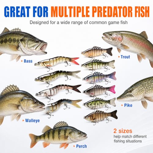 Bass Fishing Lures (10PCS / 2 Sizes)