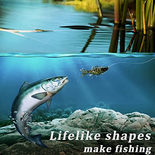 Multi Segmented Fishing Lures
