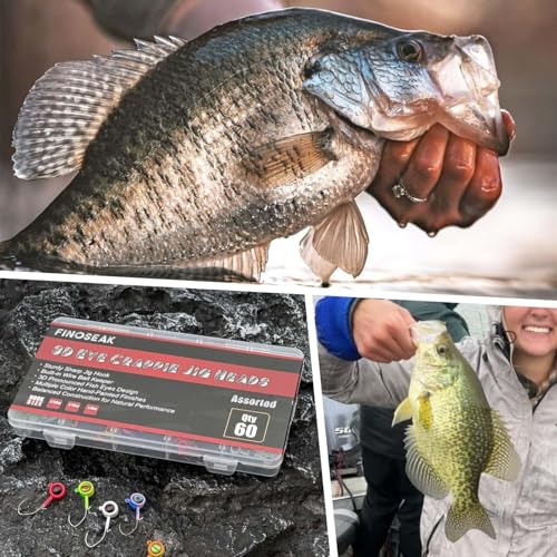Big Eyes Crappie Jig Heads