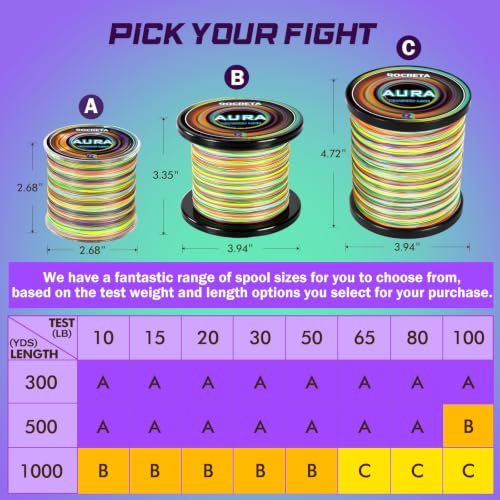 Aura Braided Fishing Line (Rainbow / 20LB(500YDS))