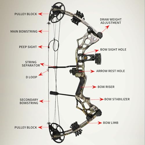 30 65lbs Bow Fishing Bow、Fishing Bow and Arrow with Reel、Bow Fishing (camouflage)