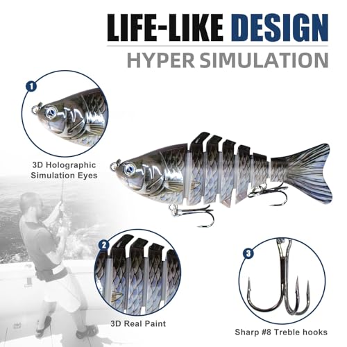 6PCS Fishing Lures for Freshwater and Saltwater with case