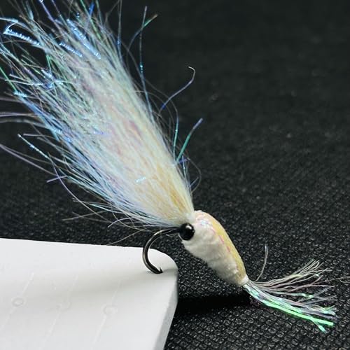 8Pc Bionics Crystal Flash Silk Shrimp Artificial Lures Fly Fishing Flies Saltwater Freshwater Bait Fishing for Bass Trout Salmon Hook Size #6 (Silvery)
