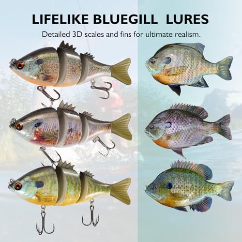 3 Pieces Swimbait Fishing Lures (G)