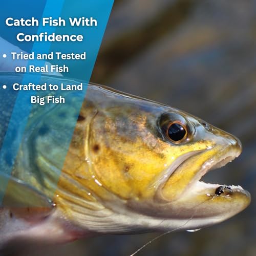 Zebra Midges for Fly Fishing 12 Pack