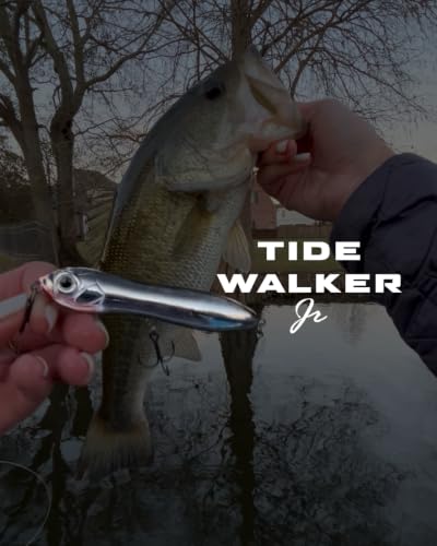 Topwater Co Tide Walker Jr Walking Topwater Fishing Lure (Silver Mullet Jr)