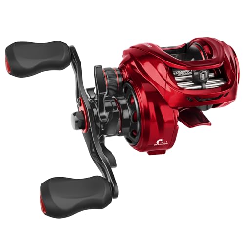 Royale Legend Glory Baitcasting Fishing Reels