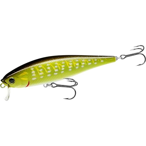 Pointer 100SSR