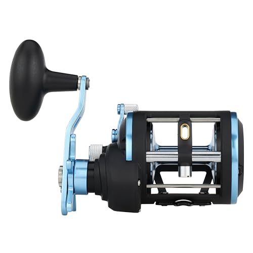 Warfare II Level Wind Conventional Fishing Reel (New Model / 15)