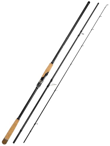 9Ft Spinning Fishing Rod (9'0"-Heavy-Fast-Black)