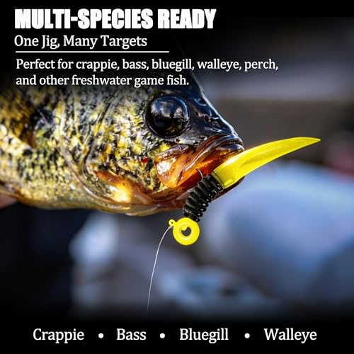 Crappie Jig Heads with Scent Holder