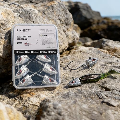 Saltwater Jig Heads 10 Pack