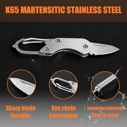 Stainless steel mini folding knife (Silver White)